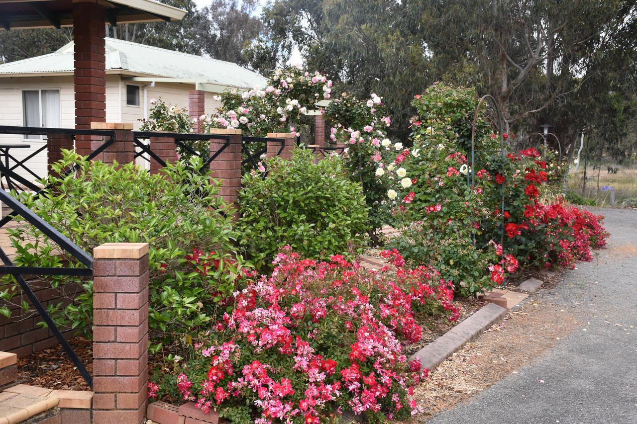 Mount Barker Valley Views Motel & Chalets, Western Australia Εξωτερικό φωτογραφία