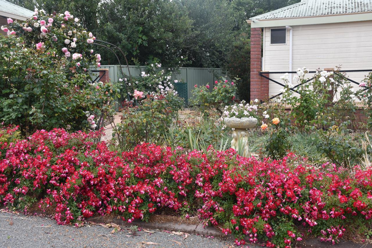 Mount Barker Valley Views Motel & Chalets, Western Australia Εξωτερικό φωτογραφία